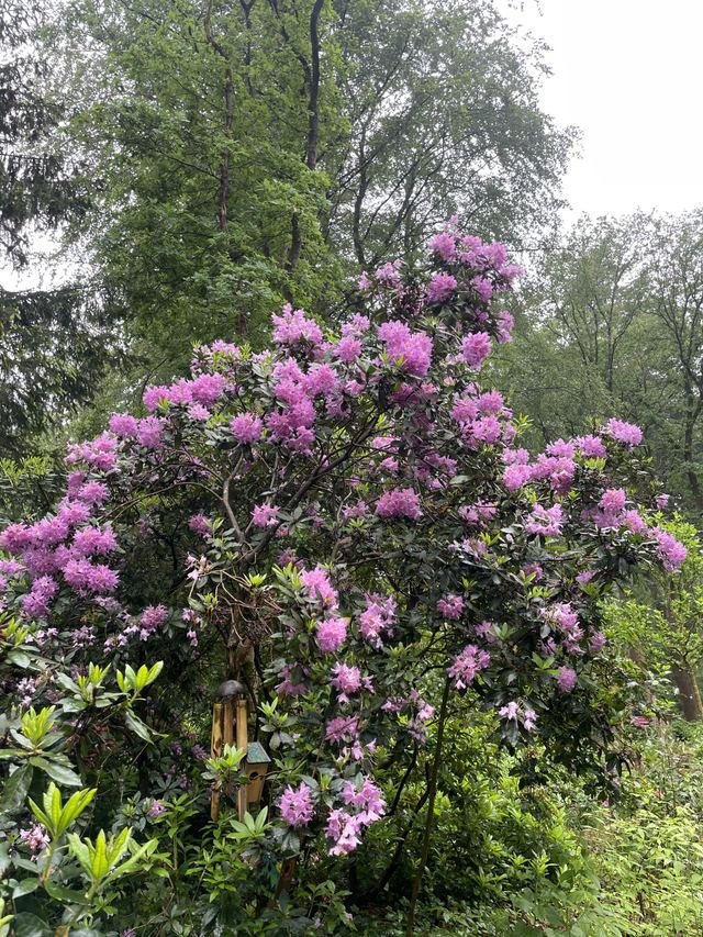Foto 21