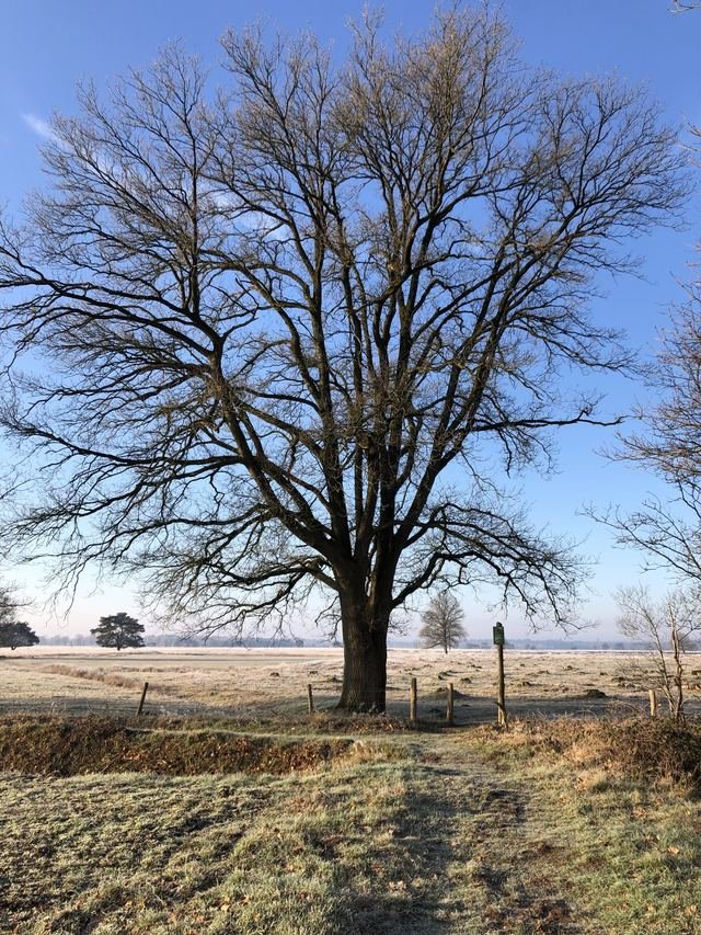 Foto 30
