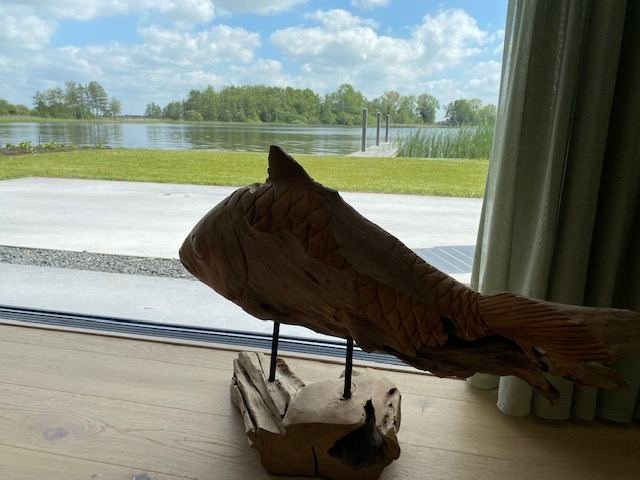 Foto 11