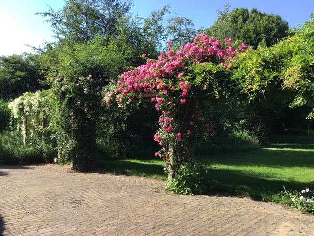 Foto 22