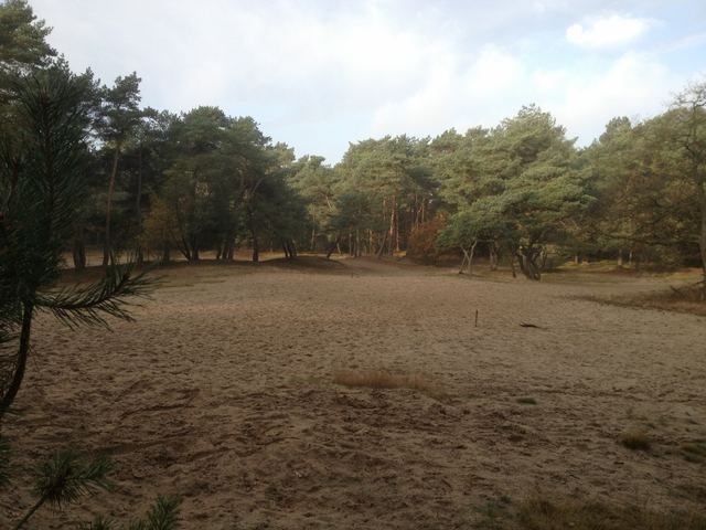 Foto 20