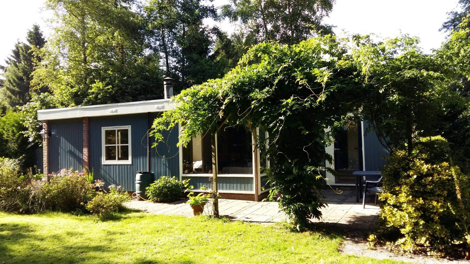 Wittelte